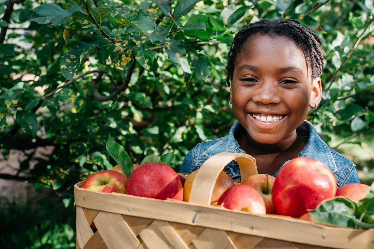 Girl picking apples